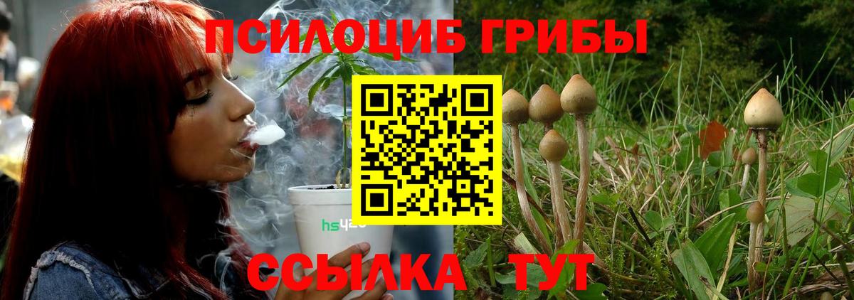 Галлюциногенные грибы MAGIC MUSHROOMS Урюпинск