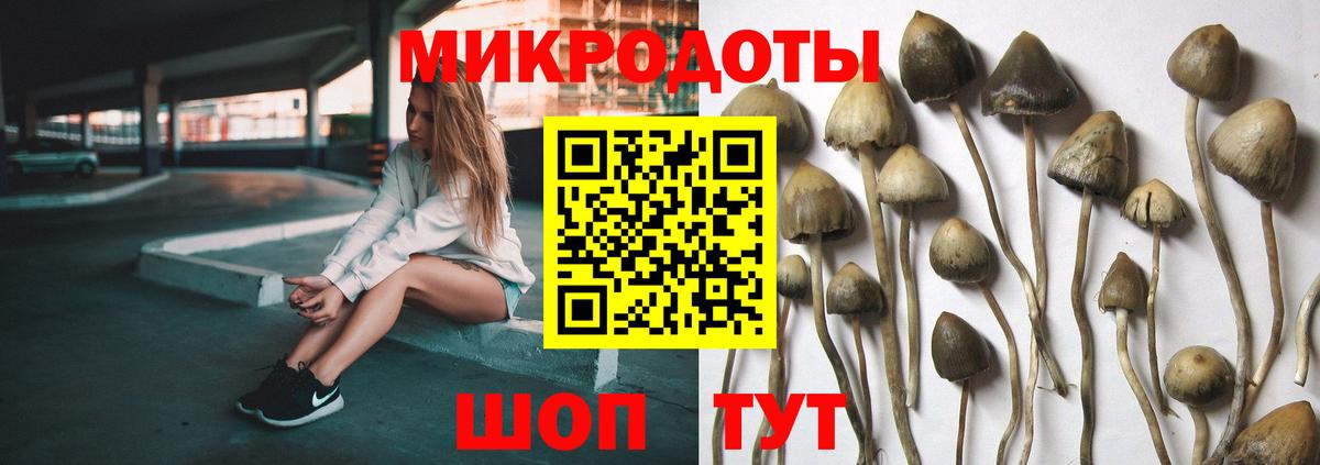 Галлюциногенные грибы прущие грибы  Вход с VPN  Урюпинск 
